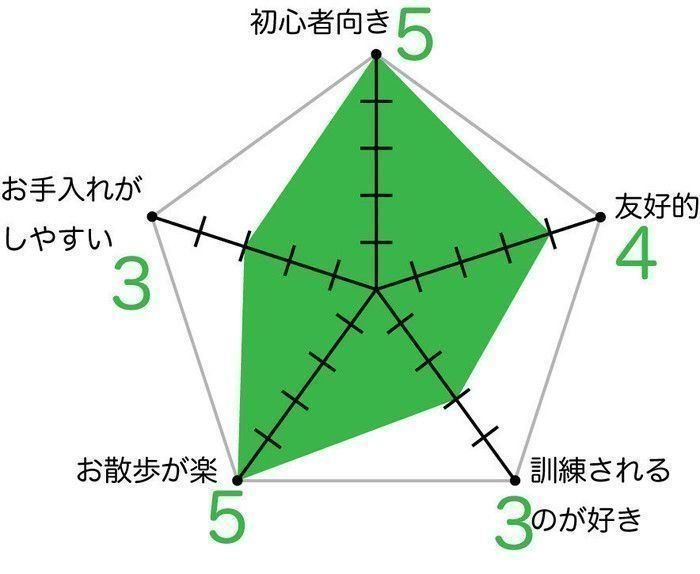 シー・ズー チャート