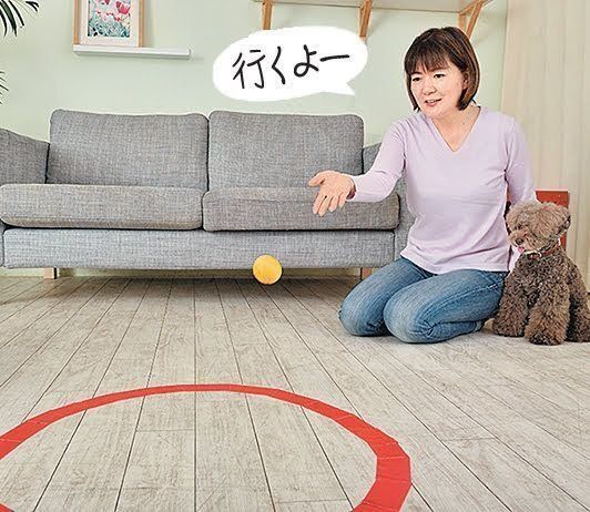 ボールdeカーリングごっこ2