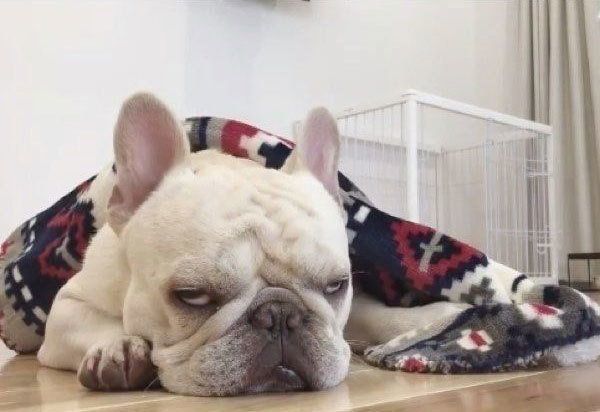 半目で眠る三郎くん
