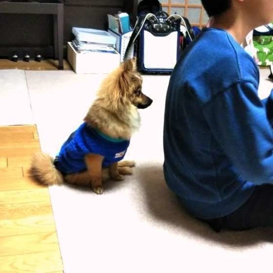 お兄ちゃんの真似をしているの?