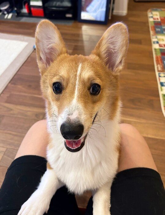 ����7����Υ����륷�塦�����������ڥ�֥�����