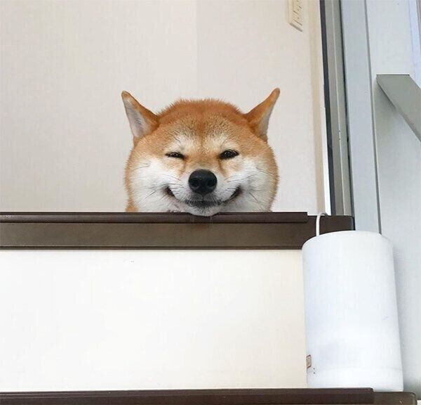 笑顔のハルちゃん