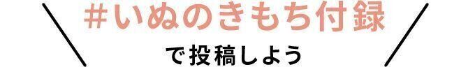 「#いぬのきもち付録」で 投稿しよう
