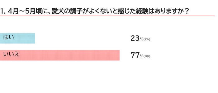 春先に愛犬が体調不良になった経験はある？