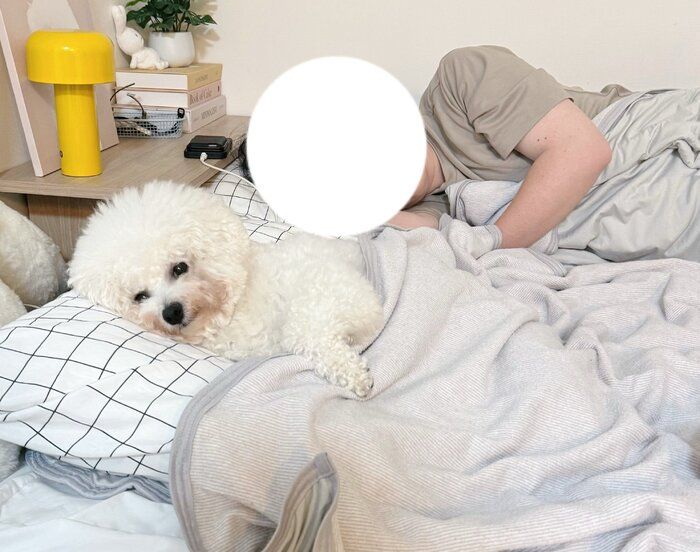 ベッドでまったりするつくねちゃん。