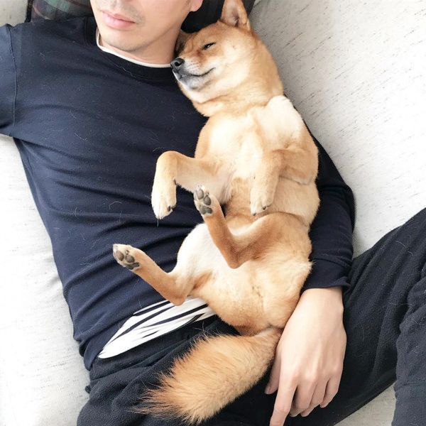 特等席