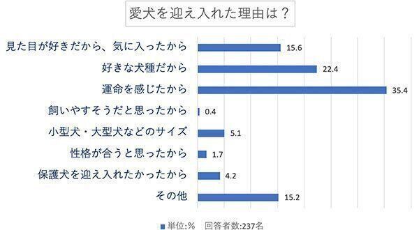 愛犬を迎え入れた理由は?