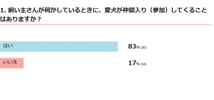 愛犬は仲間入りしてくる?