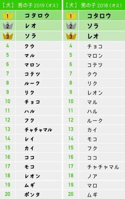 男の子(オス)の名前ランキング