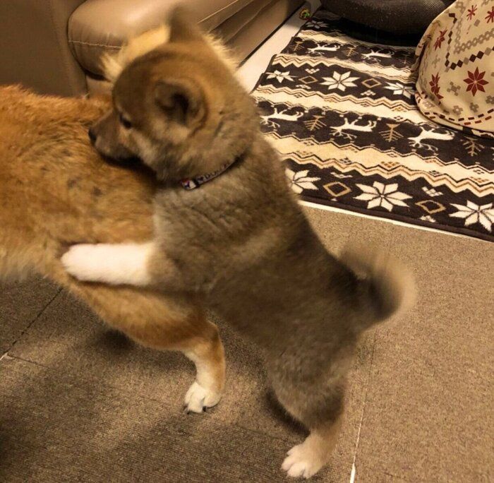 やんちゃさがうかがえるゆなちゃん