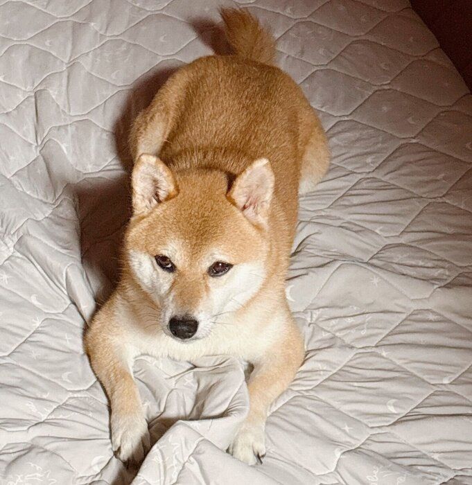 顔を逸らすつむちゃん