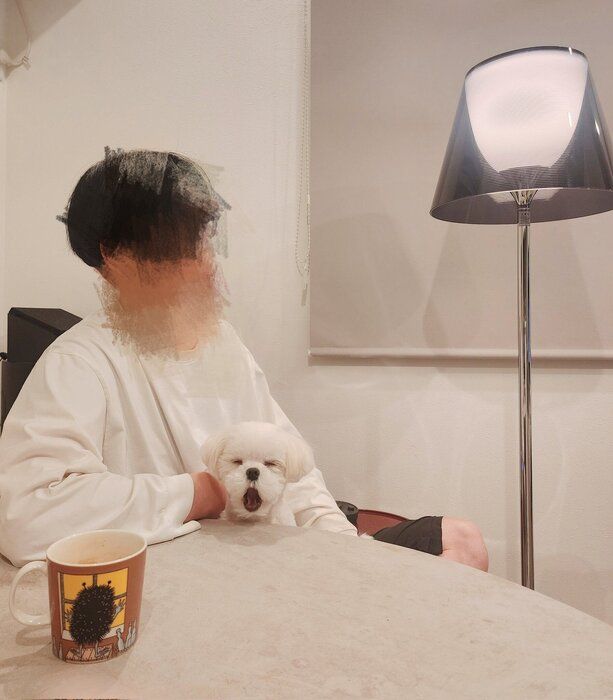 パパさんのひざの上であくびをする様子