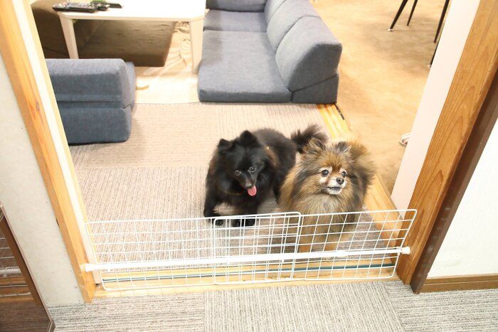 段差が極力減らされた部屋。危険な場所には、手作りの侵入防止ゲートが設置されています(撮影/尾﨑たまき)