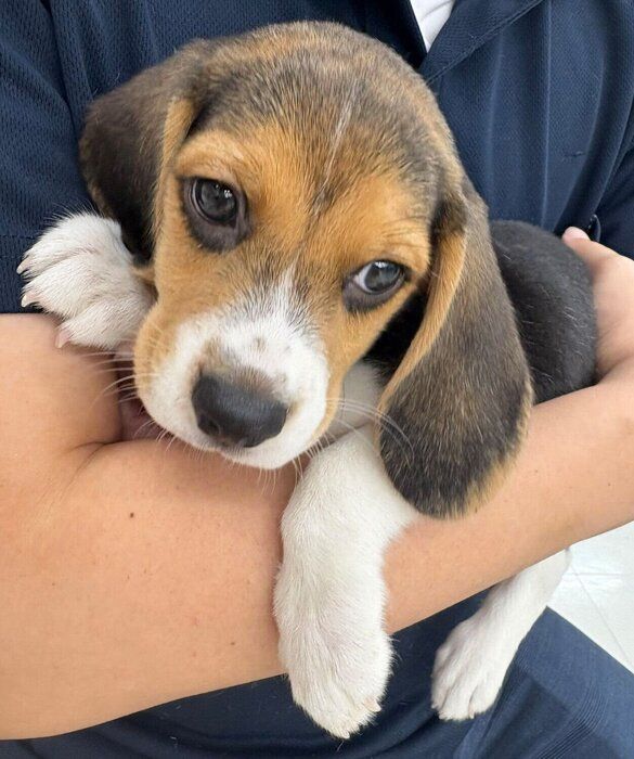 ぽぴいくんと初対面したときの一枚