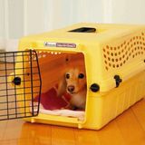 獣医師監修 犬の車酔いは改善できる 症状や対策 慣れさせ方を紹介 いぬのきもちweb Magazine 獣医師監修 犬の車酔いは改善できる 症状や対策 慣れさせ方を紹介 いぬのきもちweb Magazine