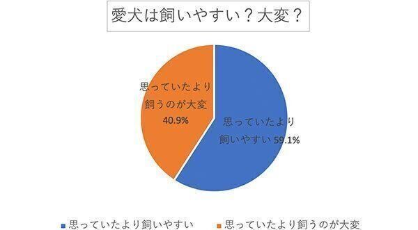 愛犬は飼いやすい? 大変?