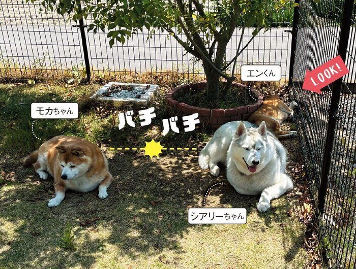 写真提供/Aさん