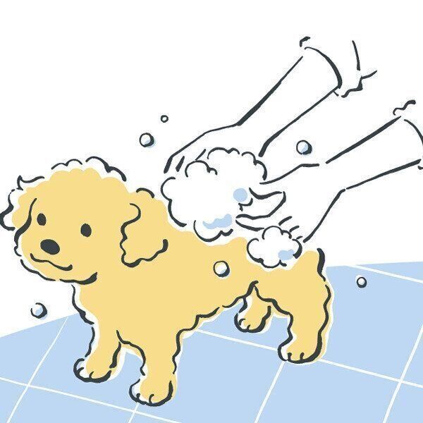イラスト/林よしえ