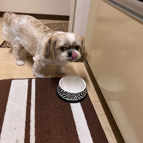 ごちそうさまでした!