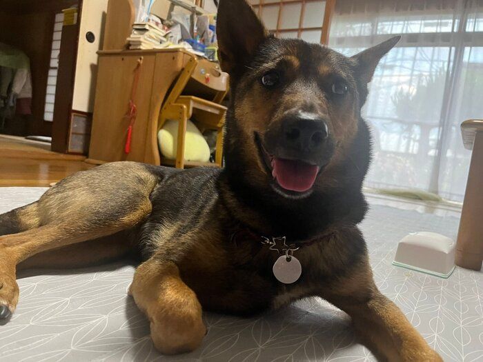 家の中でも楽しそうな表情を見せてくれる