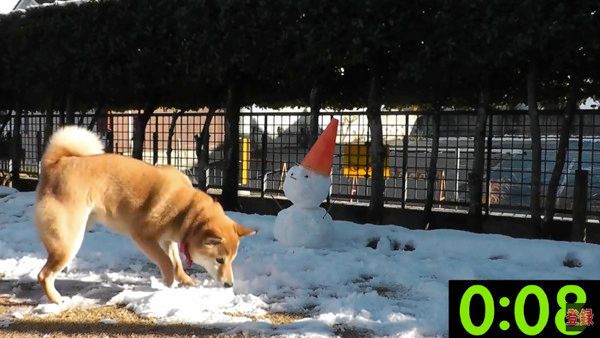 雪だるま