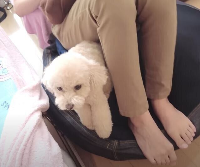 resized_4fc58000-5a57-4067-