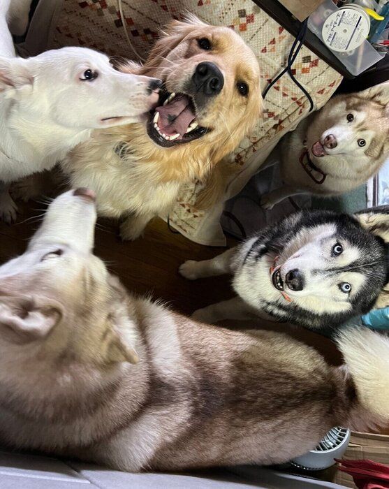 飼い主さんがお気に入りの写真