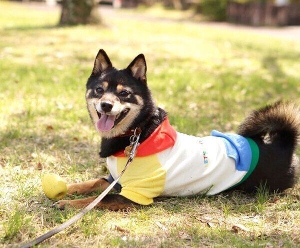 笑顔のあずきちゃん