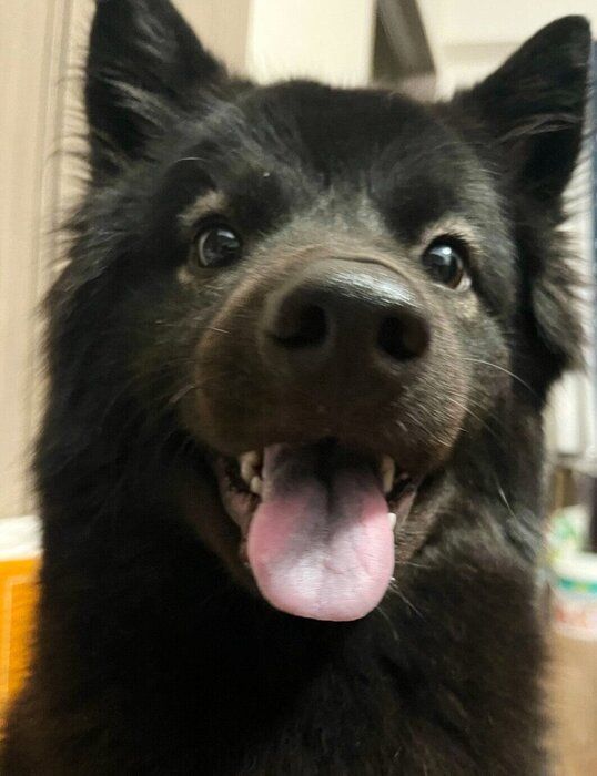 �д餬�İ��������ǥ��󥬡�����