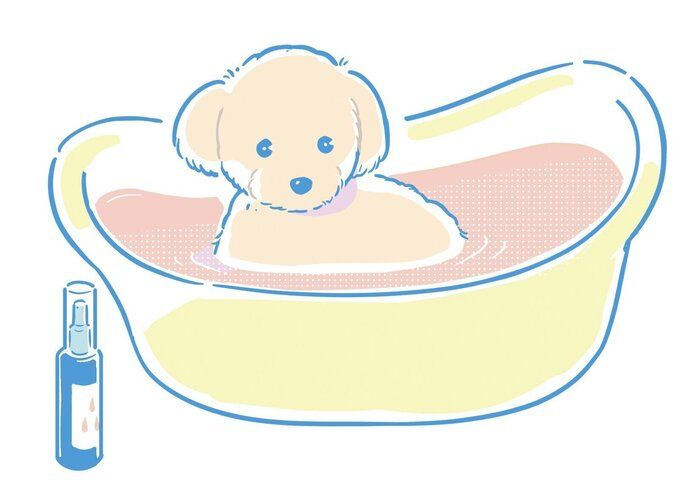 エステ気分でやってみても(イラスト/坂本彩)