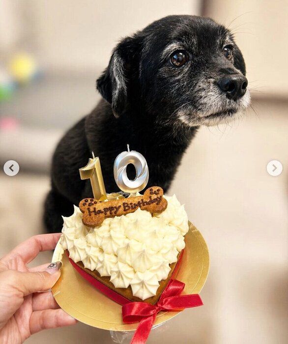 10才の誕生日のときの様子