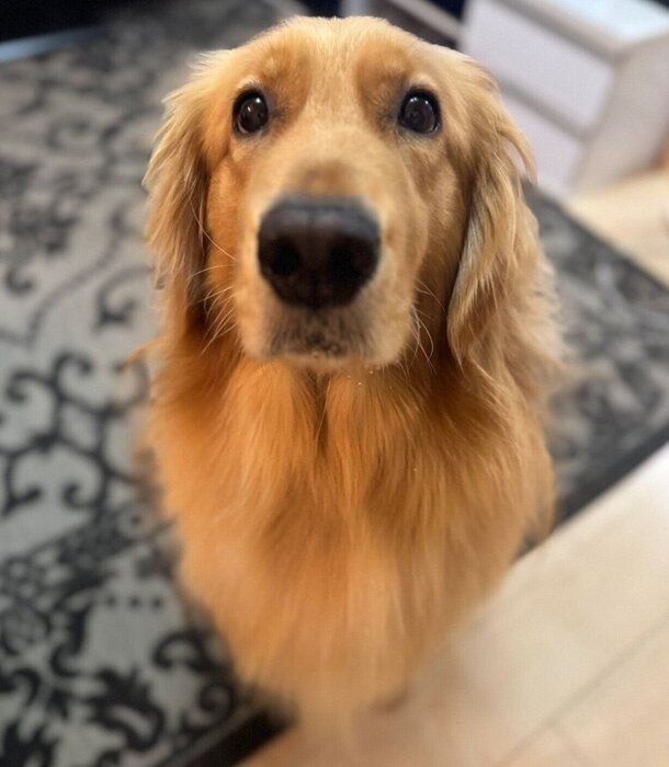 Ȥʤˤʤä꡼