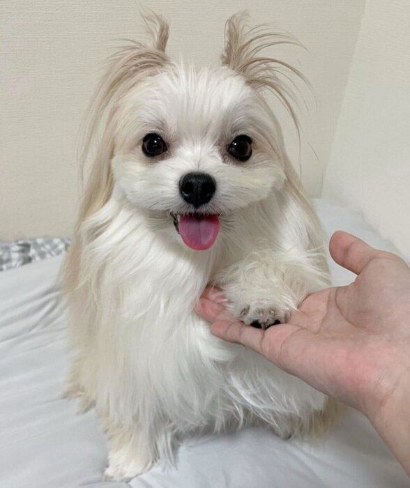 2才半になっためろ子ちゃん