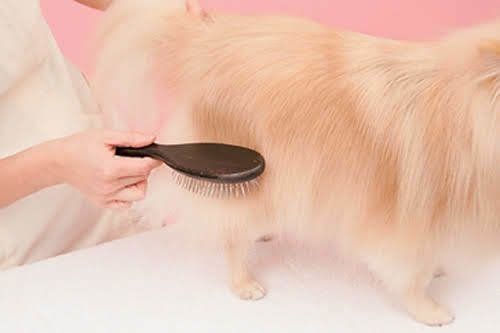 行程②