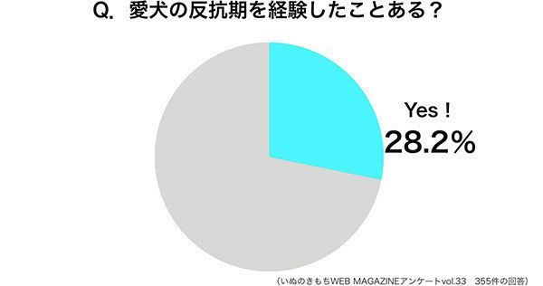 円グラフ