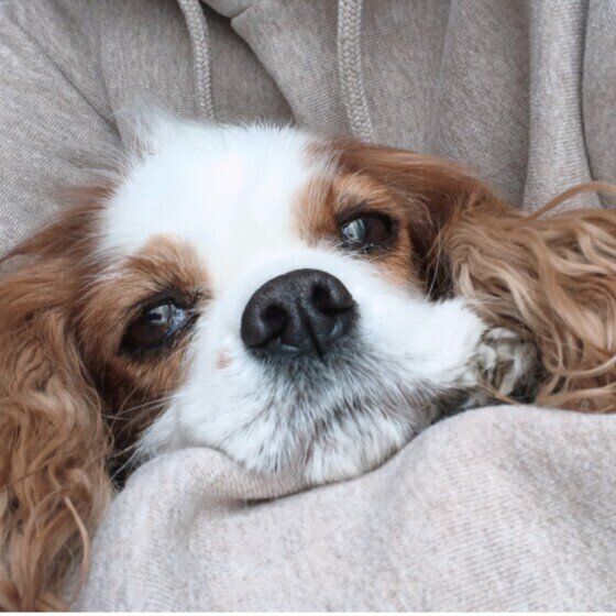 �����礵��Τ�ɨ�ξ�Ǥޤä�����