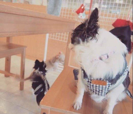 苦手な場所