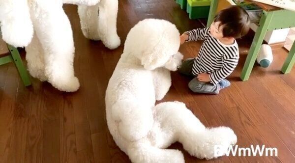まったりするりっくんとむぎくん