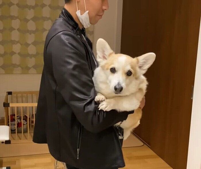 パパと犬