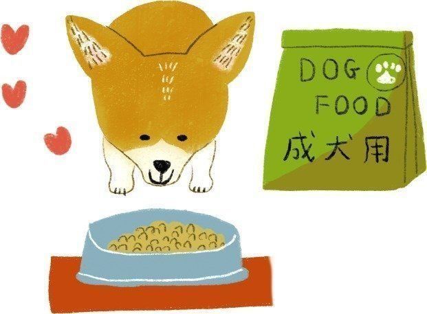 イラスト/macco