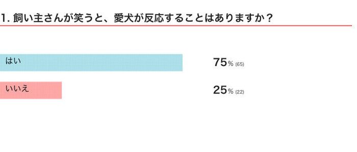 飼い主さんが笑うと、愛犬が反応することはある？