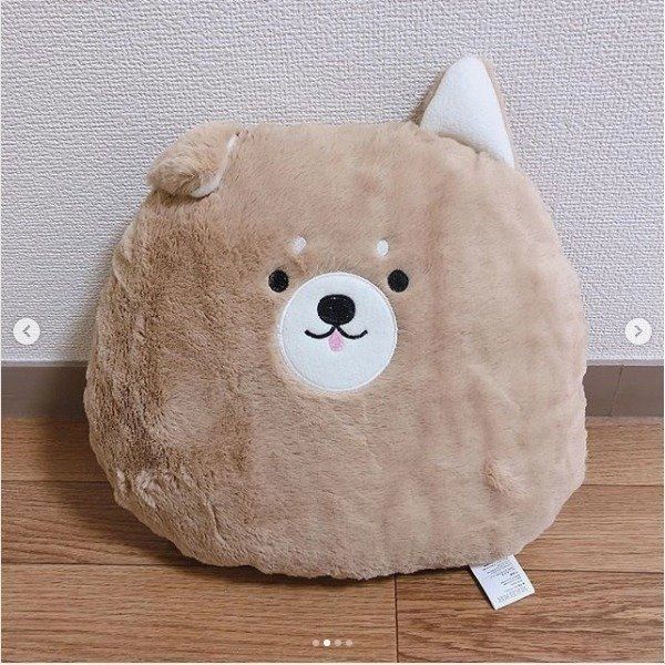 ワンコクッション
