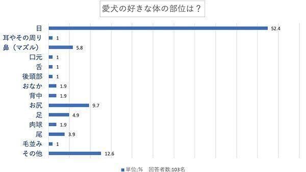 愛犬の好きな体の部位は?