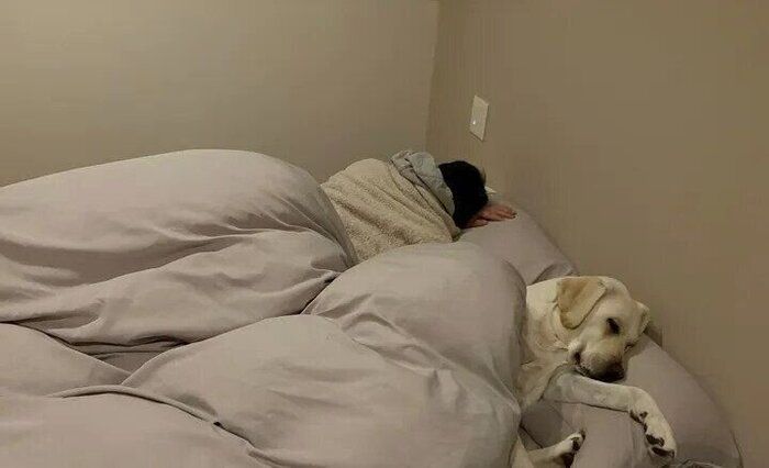 飼い主さんの寝る場所を奪うれもんちゃん