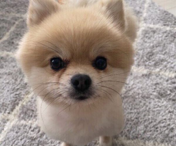 5r7pjjyhpk02pm 5r7pjjyhpk02pm