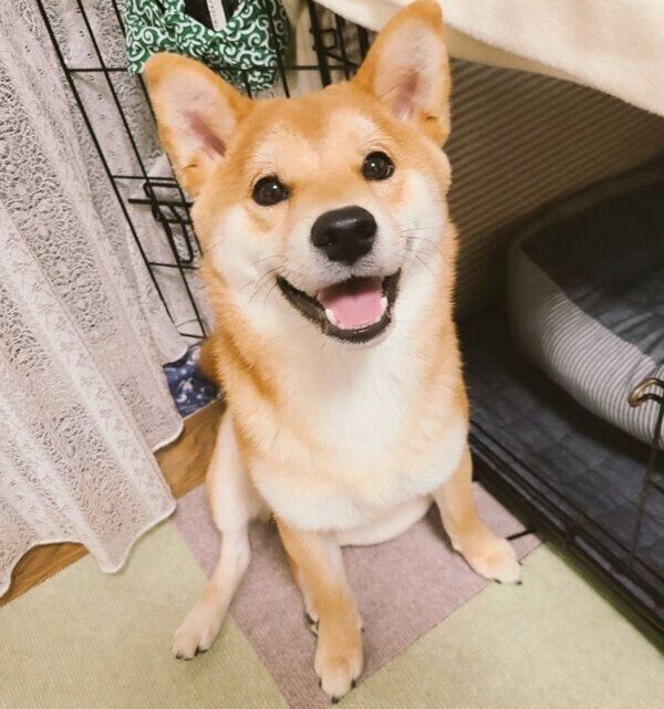 笑顔の麦くん