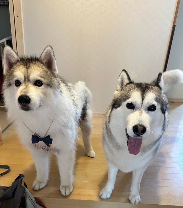 風太くんと凪ちゃん