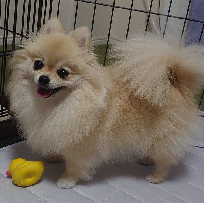 笑顔がかわいいはるちゃん