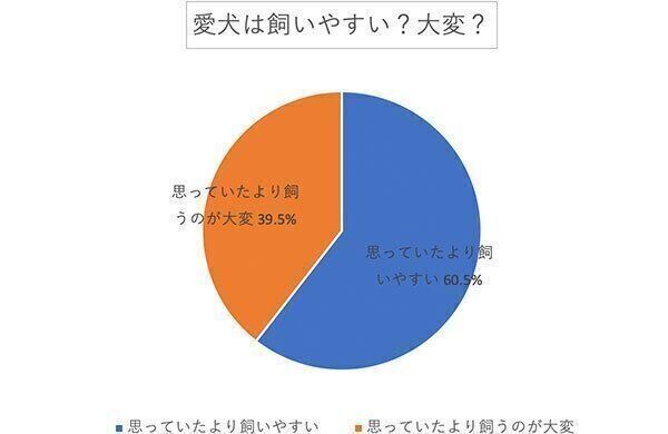 愛犬は飼いやすい? 大変?