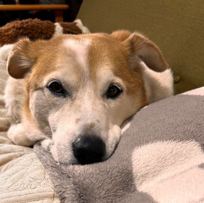 �����褻����ॵ������